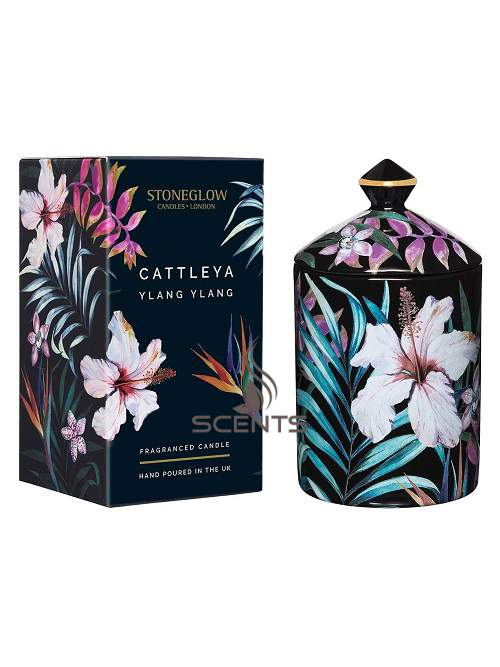 Аромасвічка у високій склянці Stoneglow Cattleya Ylang Ylang (Каттлея та іланг-іланг)